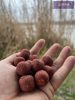 RX Carp  Red Devil 3kgs vödrös kiszerelés